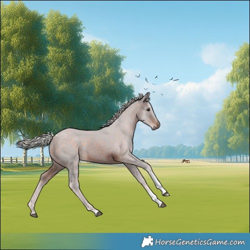 Horse Color:Silver Brown Tobiano 