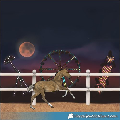 Horse Color:Silver Buckskin Dun Tobiano Rabicano 