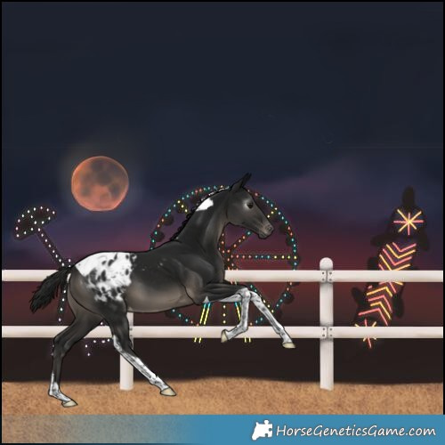Horse Color:Gray Smoky Black Tobiano Varnish 