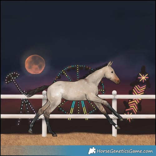 Horse Color:Bay Dun 