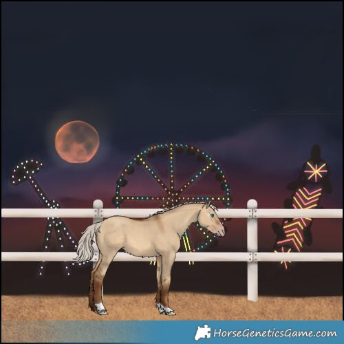 Horse Color:Gray Silver Amber Champagne Dun Tobiano 