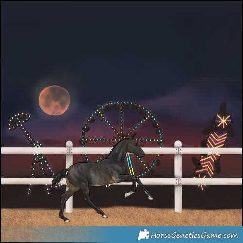 Horse Color:Buckskin Rabicano