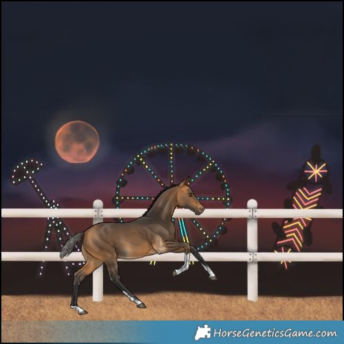Horse Color:Buckskin Tobiano Rabicano 