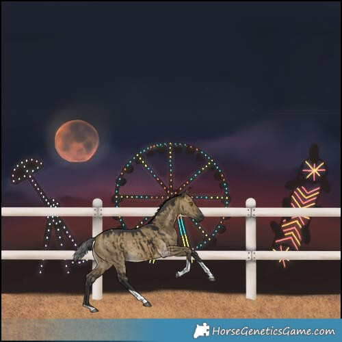Horse Color:Buckskin Dun Tobiano Rabicano Brindle 