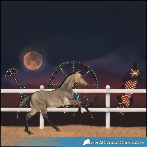 Horse Color:Buckskin Dun Rabicano Brindle