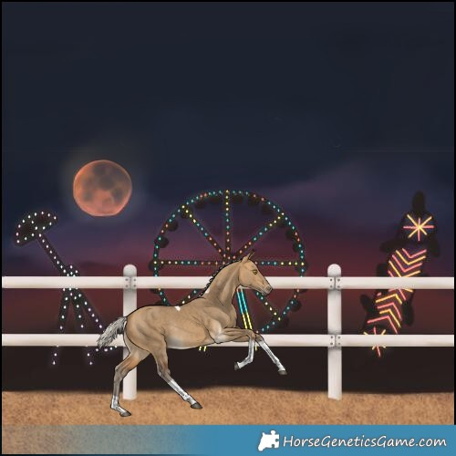 Horse Color:Silver Buckskin Dun Tobiano Rabicano Brindle