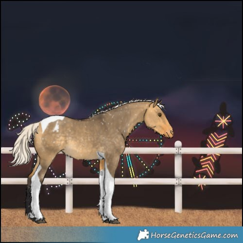 Horse Color:Silver Buckskin Dun Tobiano Snowflake Varnish Rabicano 