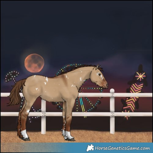 Horse Color:Gray White Spotted Red Dun Tobiano Varnish