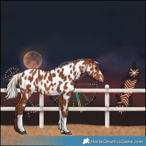 Horse Color:Silver Bay Tobiano Frame Near Leopard