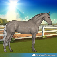 Horse Color:Silver Smoky Black 