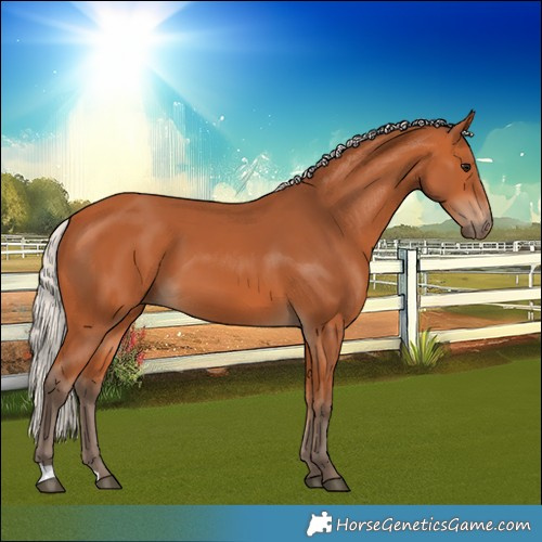 Horse Color:Silver Bay