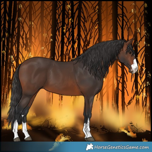 Horse Color:Brown 