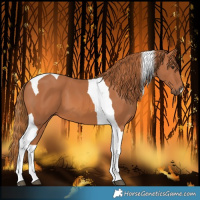 Horse Color:Chestnut Tobiano 