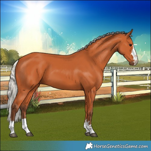 Horse Color:Unknown 