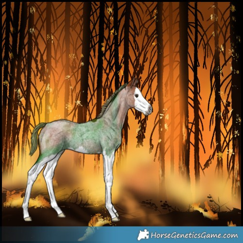 Horse Color:Unknown