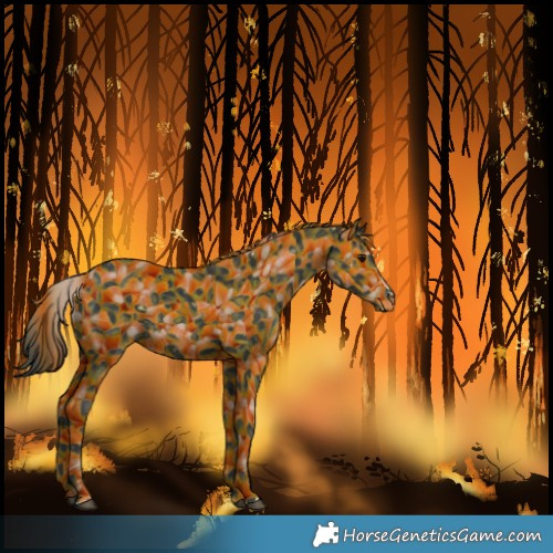 Horse Color:Unknown 