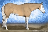 Horse Color:Silver Buckskin Sabino Splash 