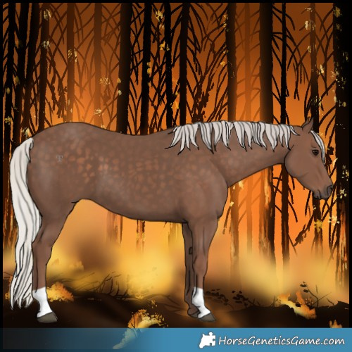 Horse Color:Silver Black 
