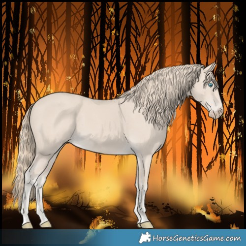 Horse Color:Smoky Creme 