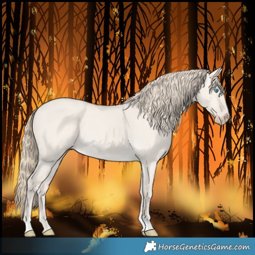 Horse Color:Smoky Creme Dun