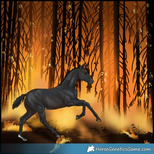 Horse Color:Brown Skewed LP Spotted 
