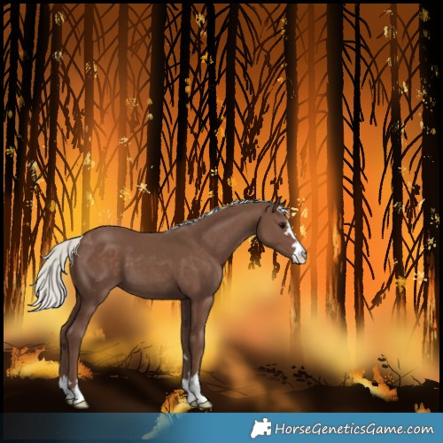 Horse Color:Silver Black 