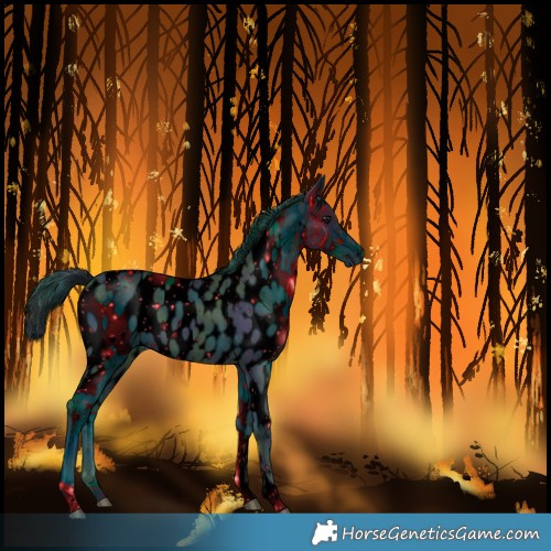 Horse Color:Unknown 