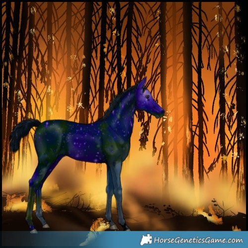 Horse Color:Unknown 