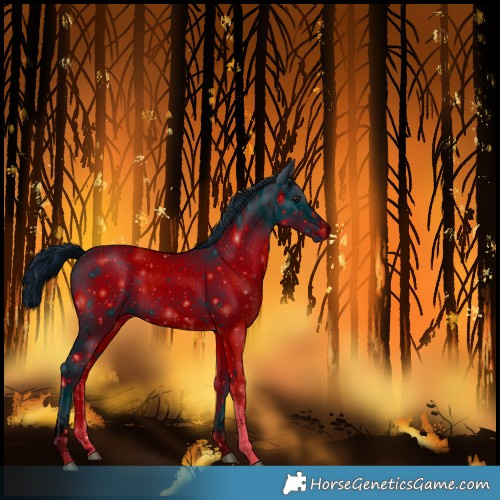 Horse Color:Unknown 