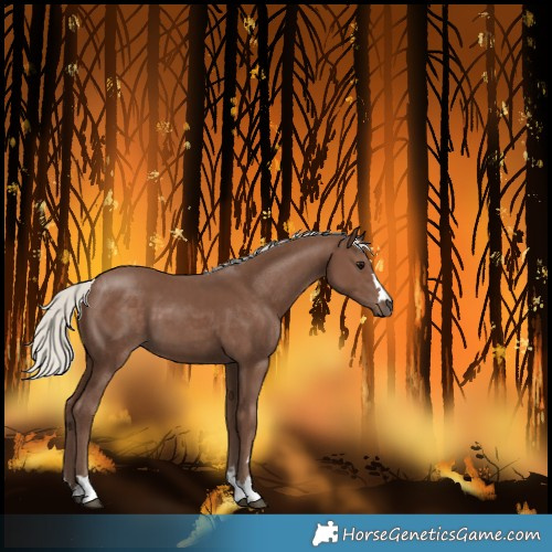 Horse Color:Silver Black 