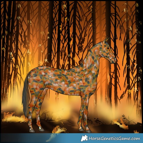Horse Color:Black 