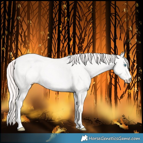 Horse Color:Perlino