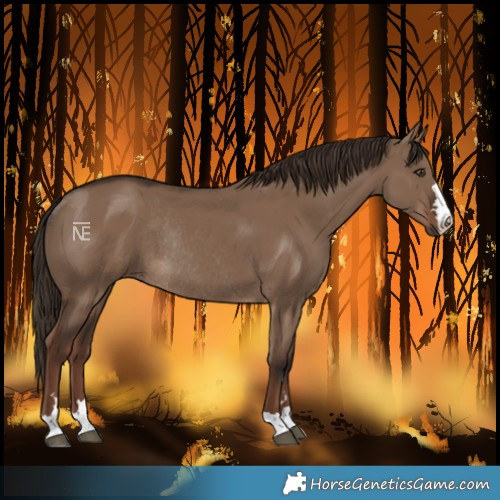 Horse Color:Liver Red Dun Rabicano 