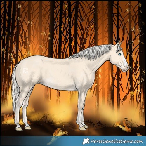 Horse Color:Cremello Splash and Cremello Splash