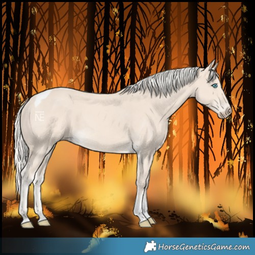 Horse Color:Cremello Tobiano 