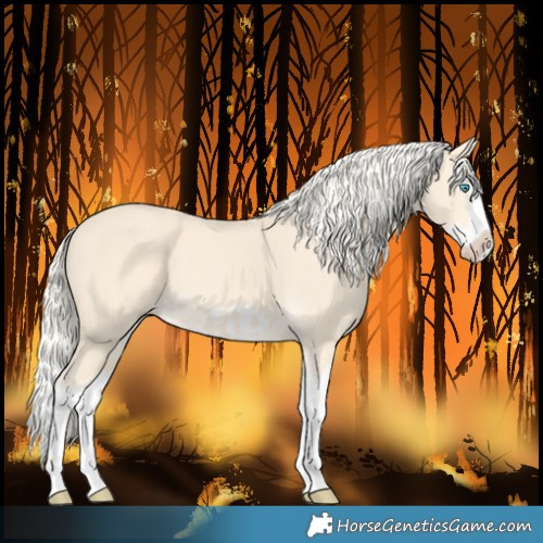 Horse Color:Cremello Splash  and Cremello Splash Frame 