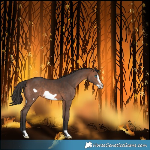 Horse Color:Brown Frame 