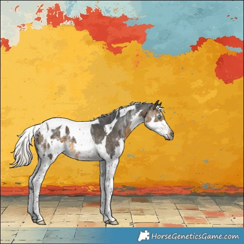 Horse Color:Gray Silver Buckskin Ice Splash Tobiano Blanket Rabicano 