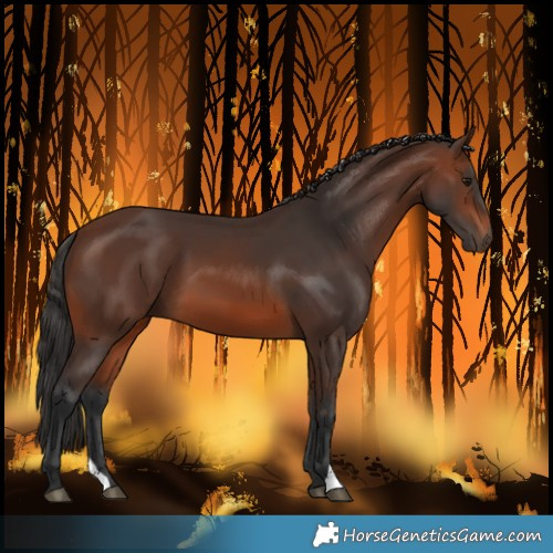 Horse Color:Brown 