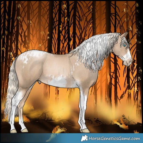 Horse Color:Chocolate Palomino Pearl Tobiano Frame and Chocolate Palomino Pearl Tobiano Frame