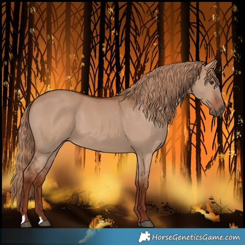 Horse Color:Red Dun 
