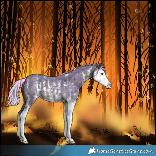 Horse Color:Watercolor Midnight Silver Buckskin Sabino Splash 