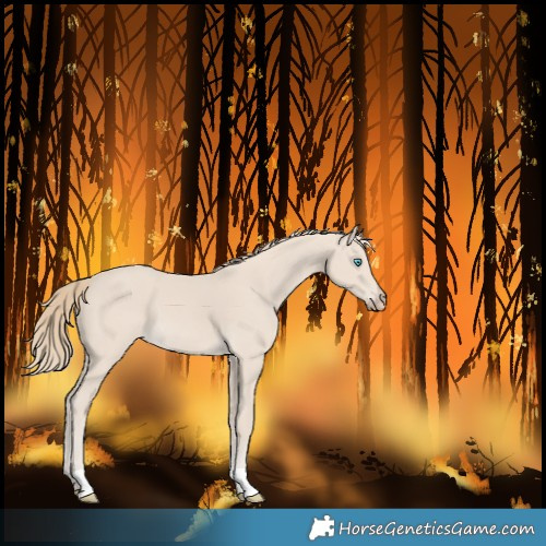 Horse Color:Smoky Creme 