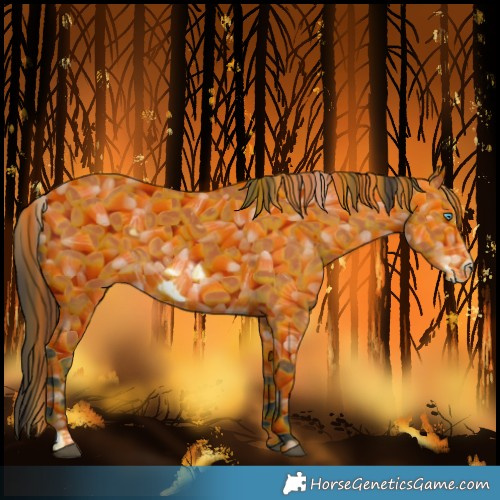 Horse Color:Bay Frame 