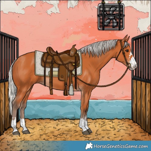 Horse Color:Silver Bay 