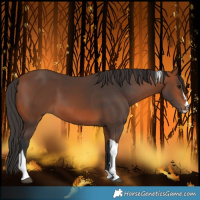 Horse Color:Bay Tobiano