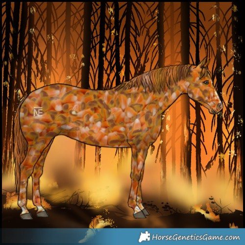 Horse Color:Unknown 