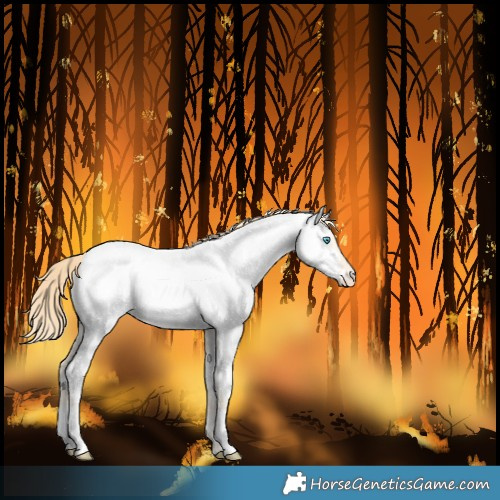 Horse Color:Perlino Dun Near Fewspot