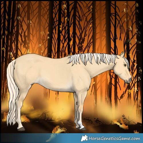 Horse Color:Palomino Dun 