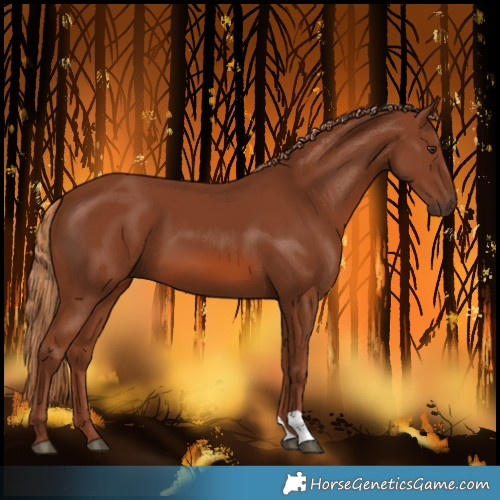 Horse Color:Unknown 